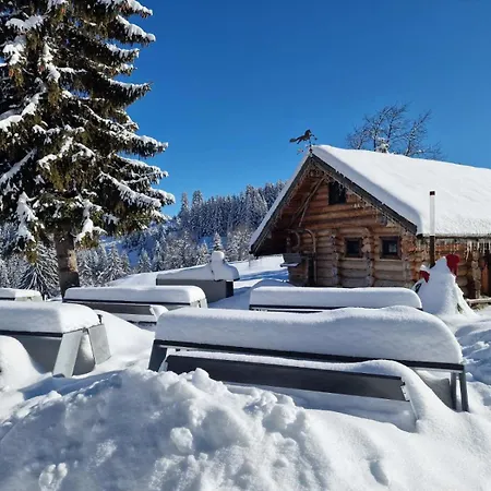 فندق Хотел Гела 3*