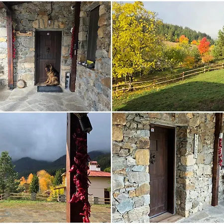 Pensiune меча стъпка Gela