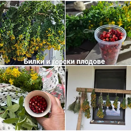 Гостевой дом меча стъпка
