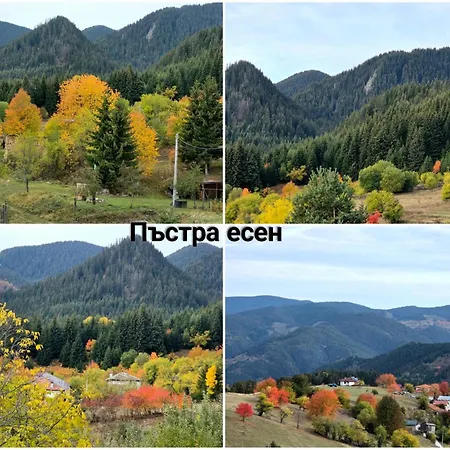 меча стъпка Гостевой дом