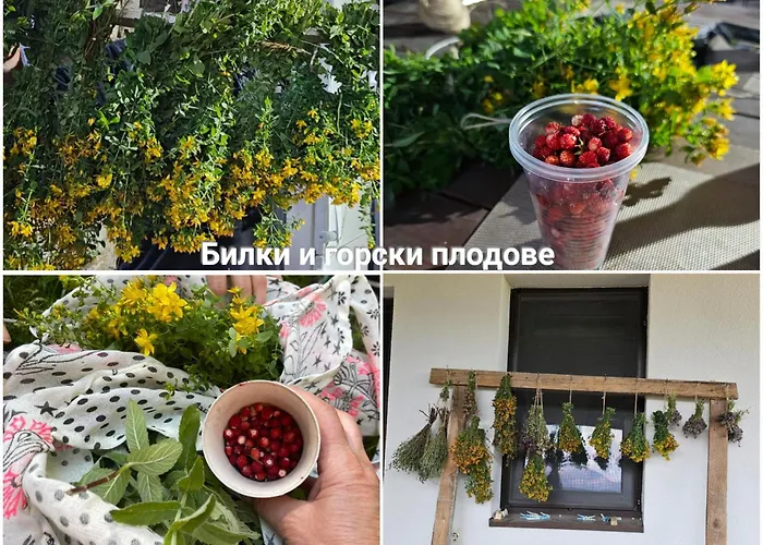 Къща за гости меча стъпка